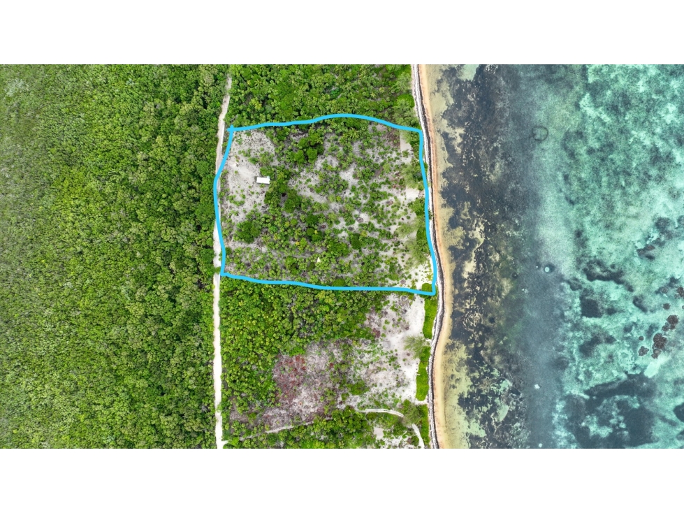 Terreno en Venta Mahahual, Quintana Roo - 2