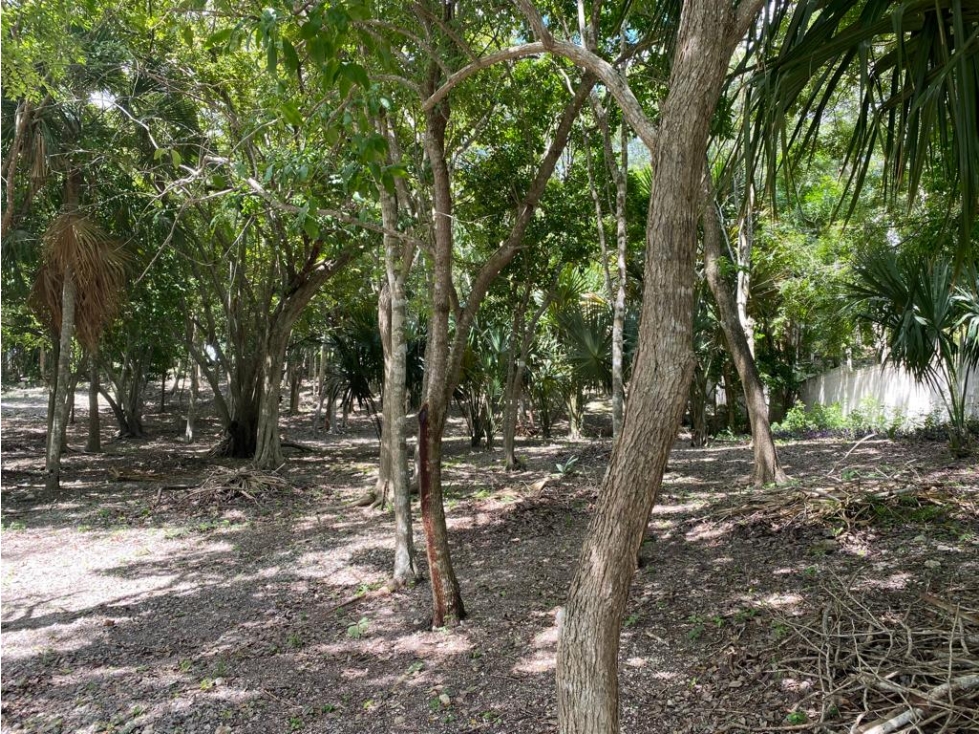 Terreno en Venta 6,000 m² - Bacalar, Quintana Roo - 6