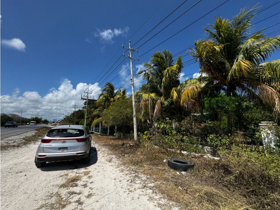 Terreno de 25 Hectáreas en venta Carretera Cancún Puerto Morelos - 3