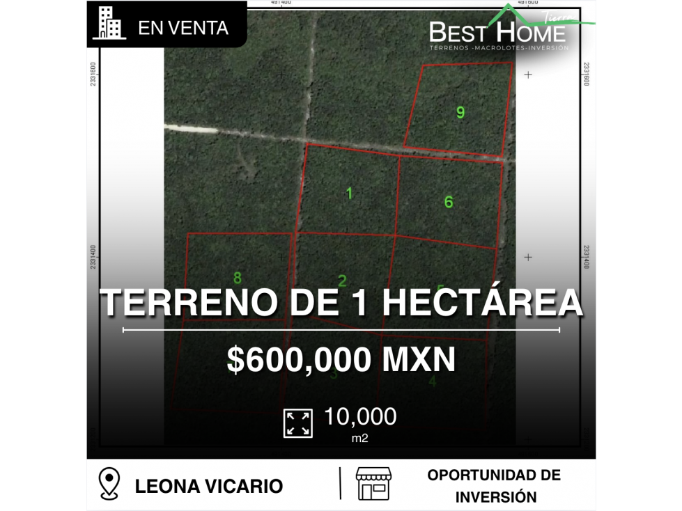 Se vende terreno de 1 hectárea en av Leona Vicario, cún