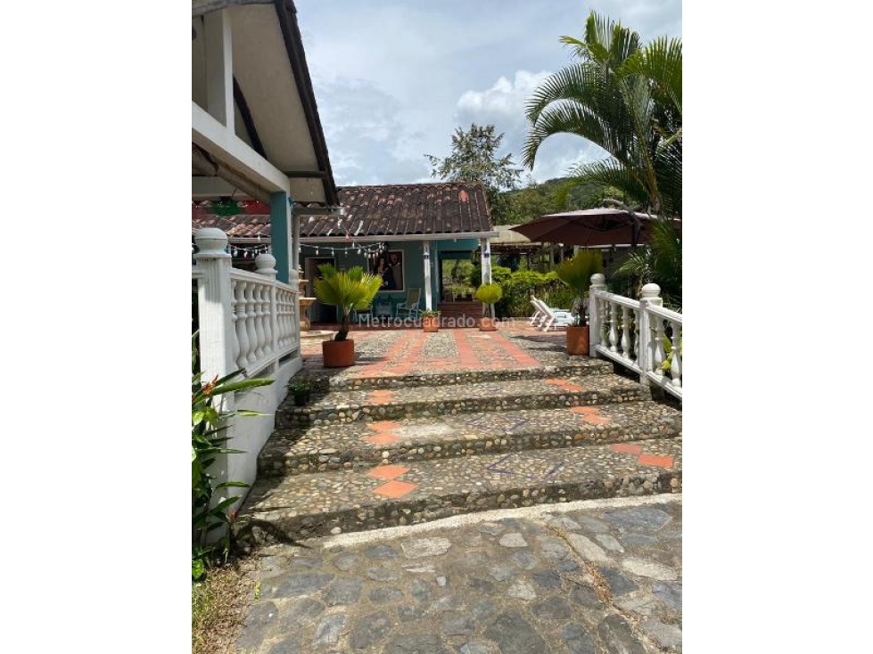 VENTA FINCA GUADUAS. - 4