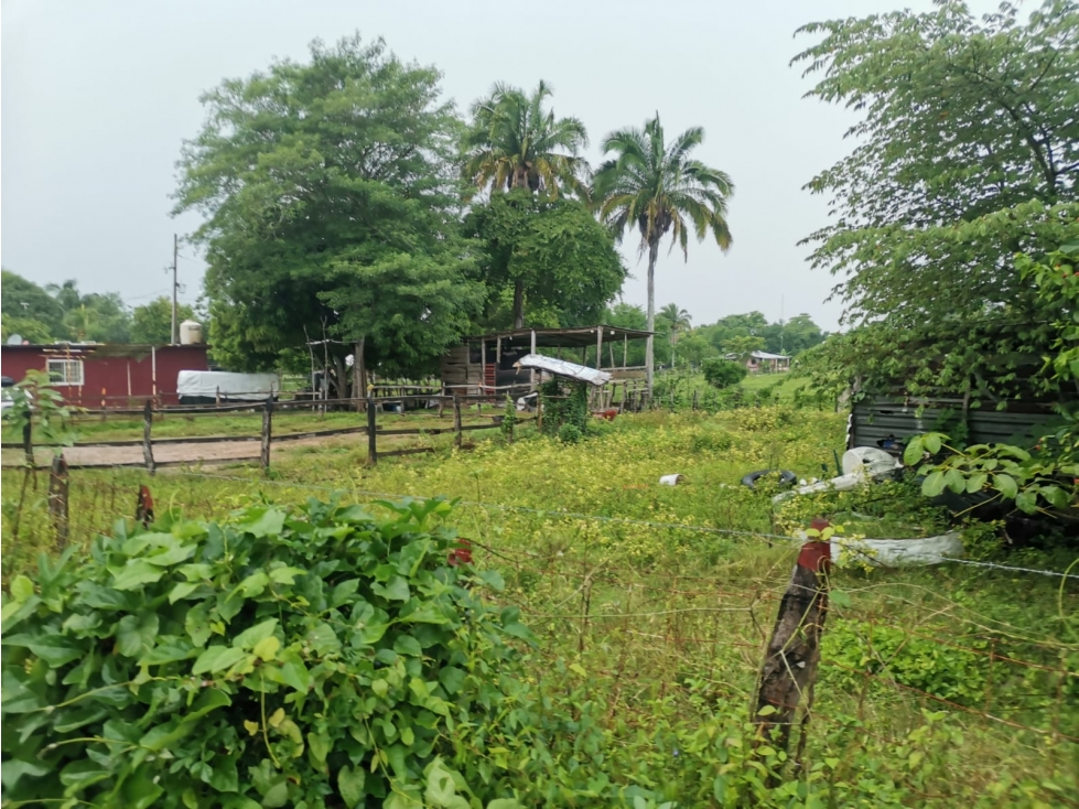 VENTA - Casa y Terreno Matillas, Centro Tabasco - 4