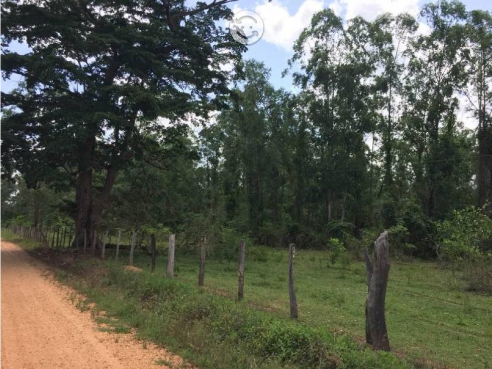 VENTA - Rancho El Faustino, 250ha, Balancan, Tab. - 2