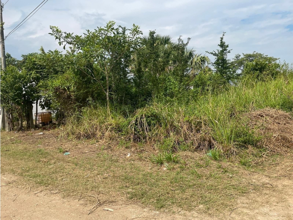 SE VENDE TERRENO CARRETERA. FRONTERA KM 16 - 2