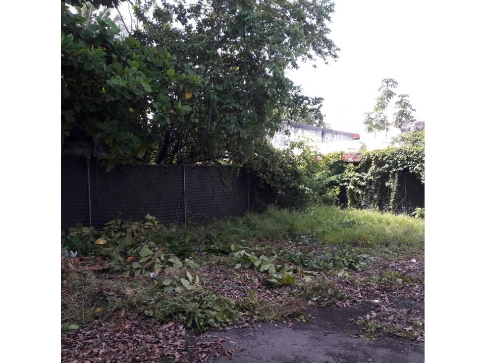 TERRENO VENTA, CALLE ANDRÉS SÁNCHEZ MAGALLANES, COL. CENTRO, - 3