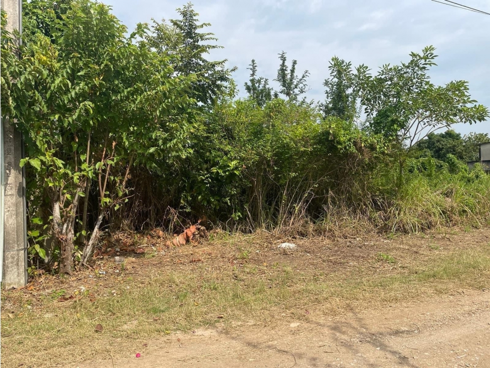 SE VENDE TERRENO CARRETERA. FRONTERA KM 16 - 3