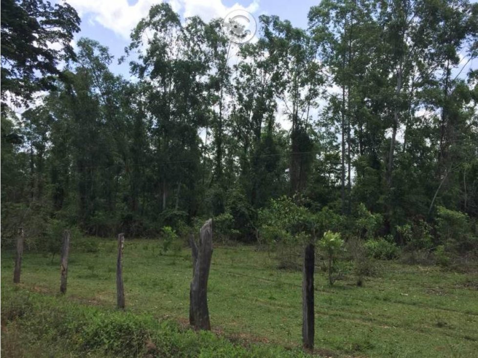 VENTA - Rancho El Faustino, 250ha, Balancan, Tab. - 4