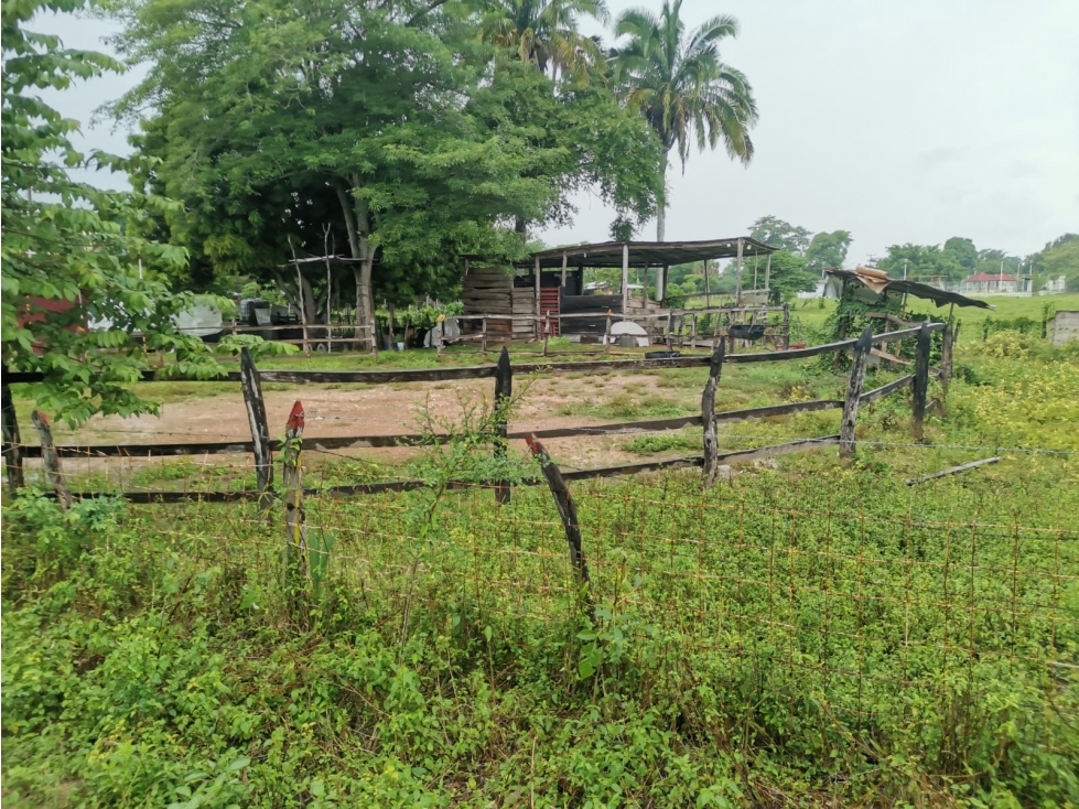 VENTA - Casa y Terreno Matillas, Centro Tabasco - 5