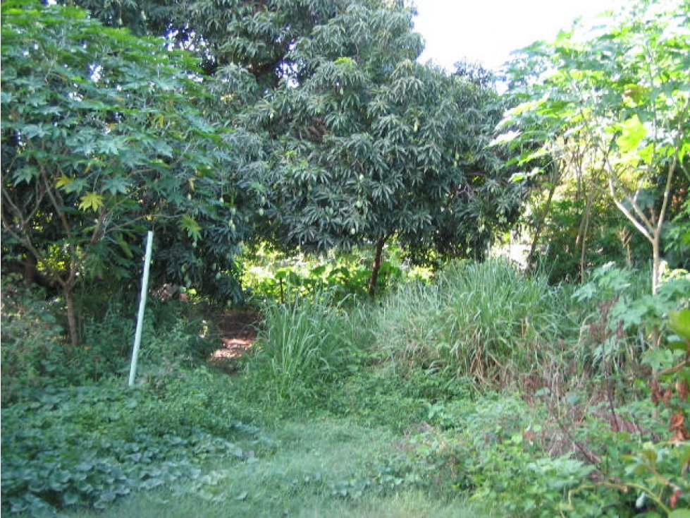 Terreno Grijalva, Frontera, Centla, Tab - 5