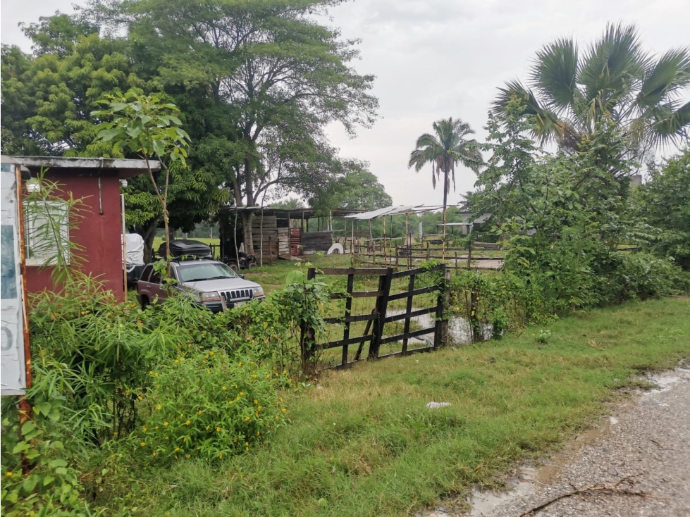 VENTA - Casa y Terreno Matillas, Centro Tabasco - 6