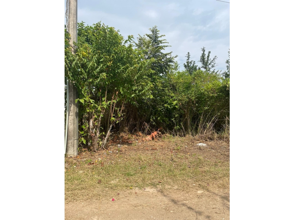 SE VENDE TERRENO CARRETERA. FRONTERA KM 16 - 6