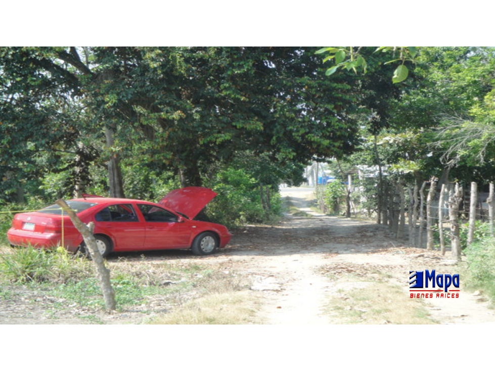Remato Lote KM. 7.5 Rchía. Boquerón 1a. Sección a Luis Gil Pérez - 3