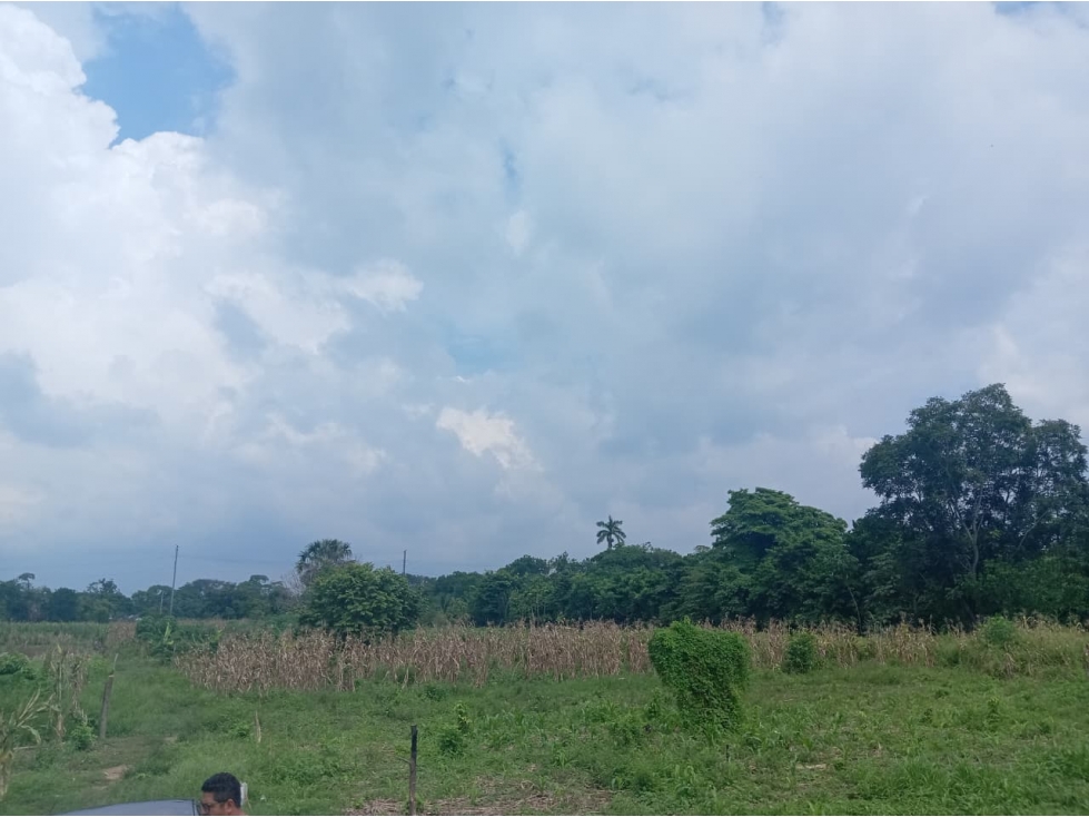 VENTA TERRENO R/A Gonzalez 3ra Sección KM 155+500 - 6