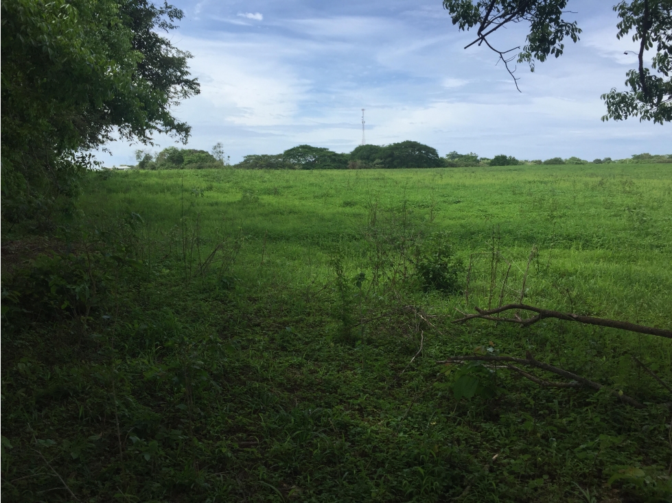 SE VENDE TERRENO EN GUARARE - EXCELENTE UBICACIÖN - 1