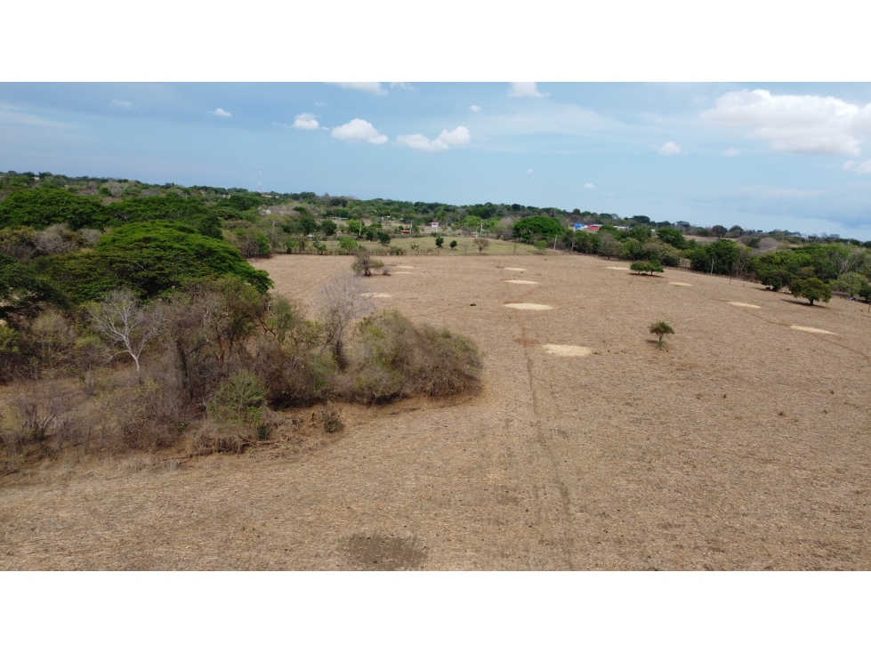 SE VENDE TERRENO EN GUARARE - EXCELENTE UBICACIÖN - 4