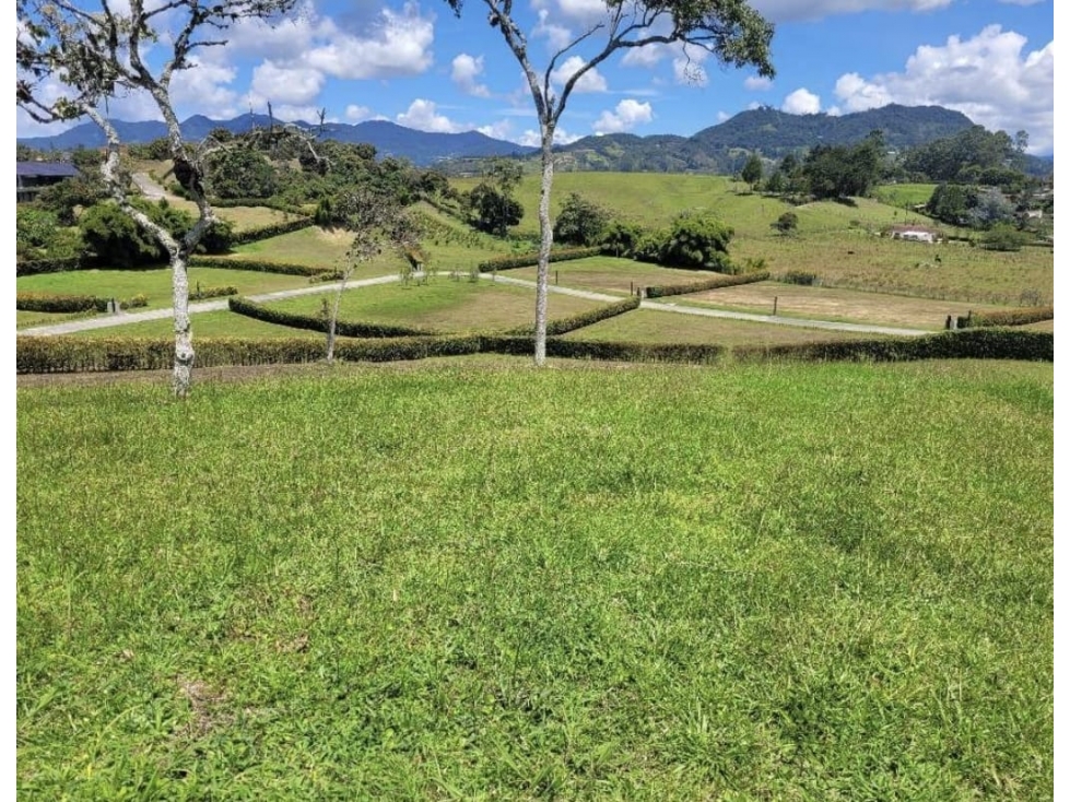 Lote en LLanogrande en urbanización cerrada 2.643m2 — foto 3