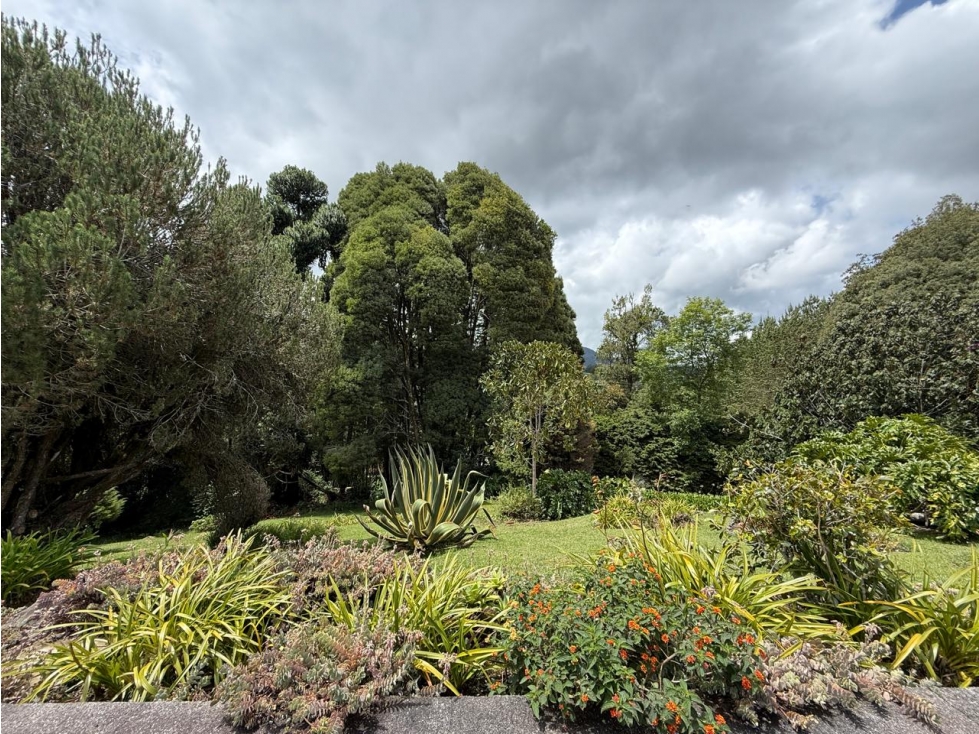 Lote 10.000m con casa para reformar Alto de Las Palmas