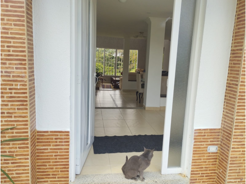 RENTA DE CASA CAMPESTRE VIA CIRCASIA PEREIRA - 2
