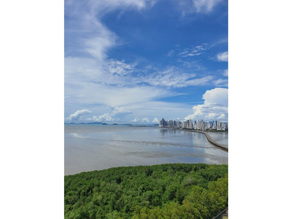 PH OCEAN ONE - COSTA DEL ESTE - VENTA