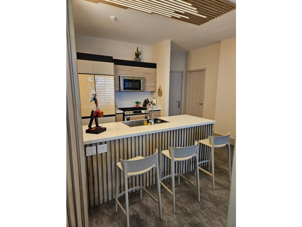 PH OCEAN HOUSE - SANTA MARIA - ALQUILER / VENTA — foto 3