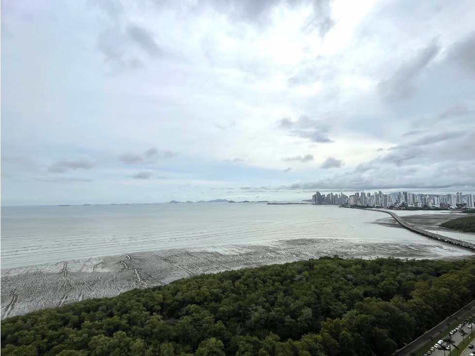 PH REGALIA - COSTA DEL ESTE - VENTA — foto 4