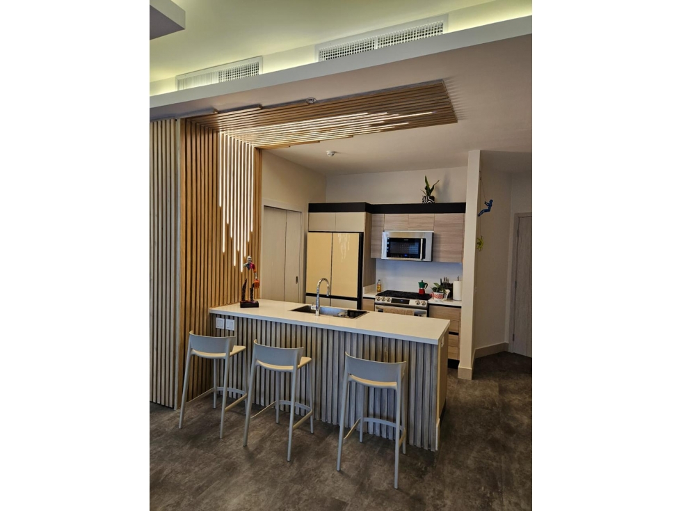 PH OCEAN HOUSE - SANTA MARIA - ALQUILER / VENTA — foto 5