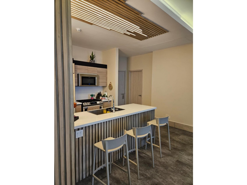 PH OCEAN HOUSE - SANTA MARIA - ALQUILER / VENTA — foto 2