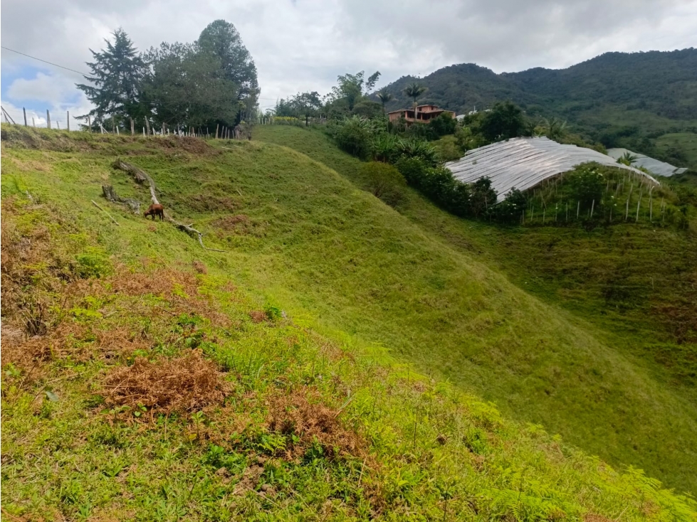 VENTA DE LOTE EN EL PEÑOL, PARAJE EL CHILCO - 3
