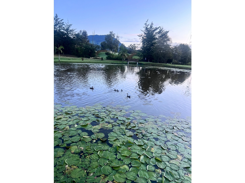 VENTA DE LOTE RESERVA SILVESTRE EN LA CEJA, VEREDA EL YARUMO — foto 3