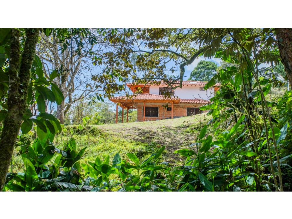VENTA FINCA EN LA VEREDA EL CERRO - CARMEN DE VIBORAL — foto 6