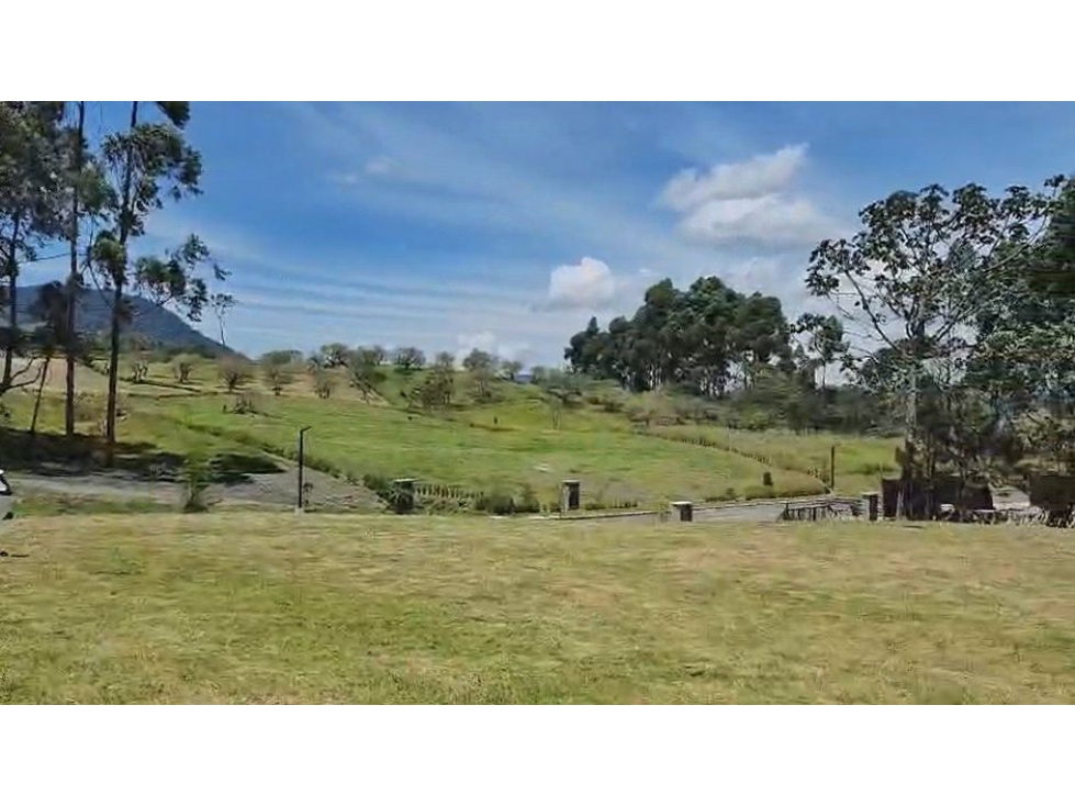 VENTA DE LOTE RESERVA SILVESTRE EN LA CEJA, VEREDA EL YARUMO — foto 2