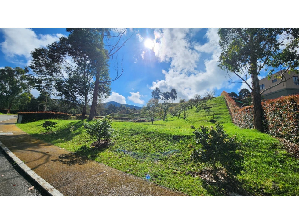 VENTA DE LOTE EN LA CEJA- VIA LA CEJA SAN ANTONIO