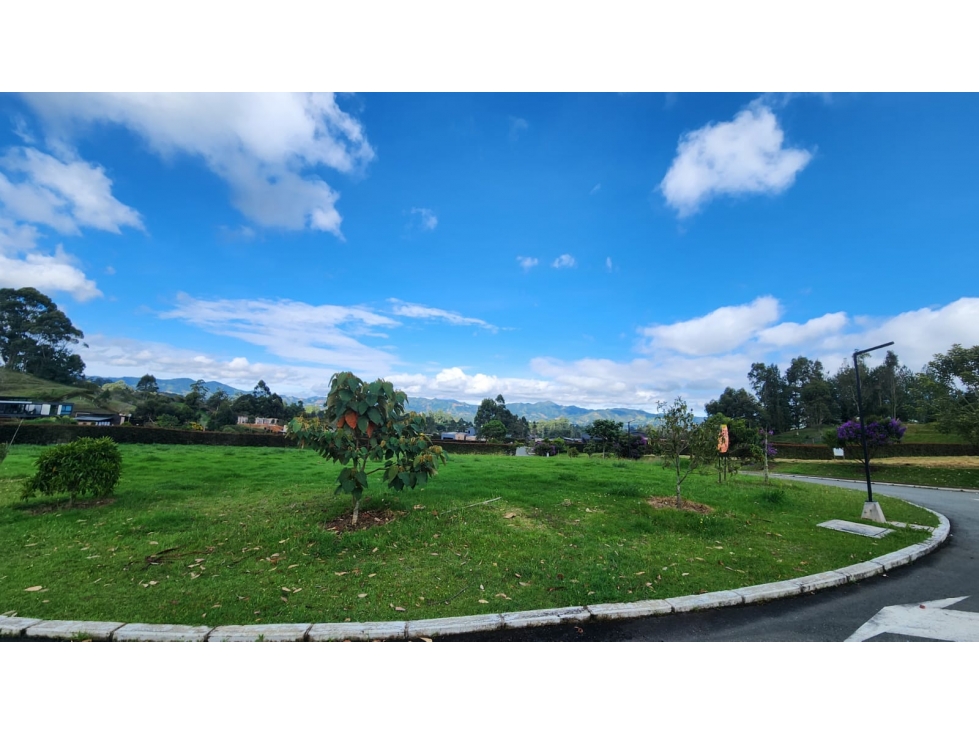VENTA DE LOTE LA CEJA, VIA LA CEJA-SAN ANTONIO