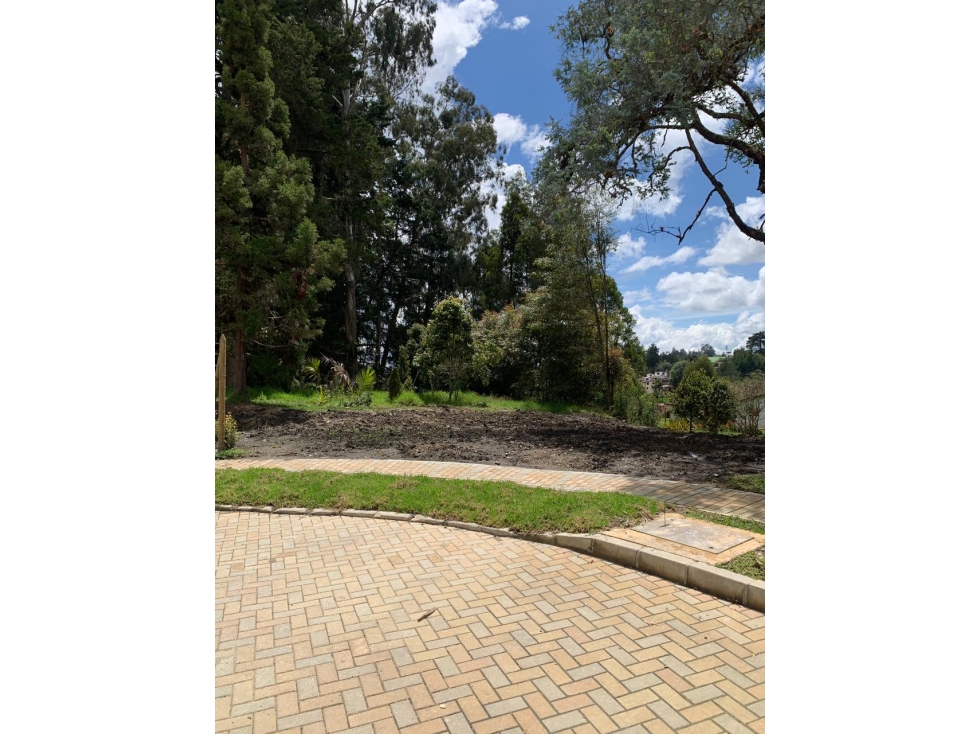 VENTA DE LOTE EN LAS PALMAS — foto 6