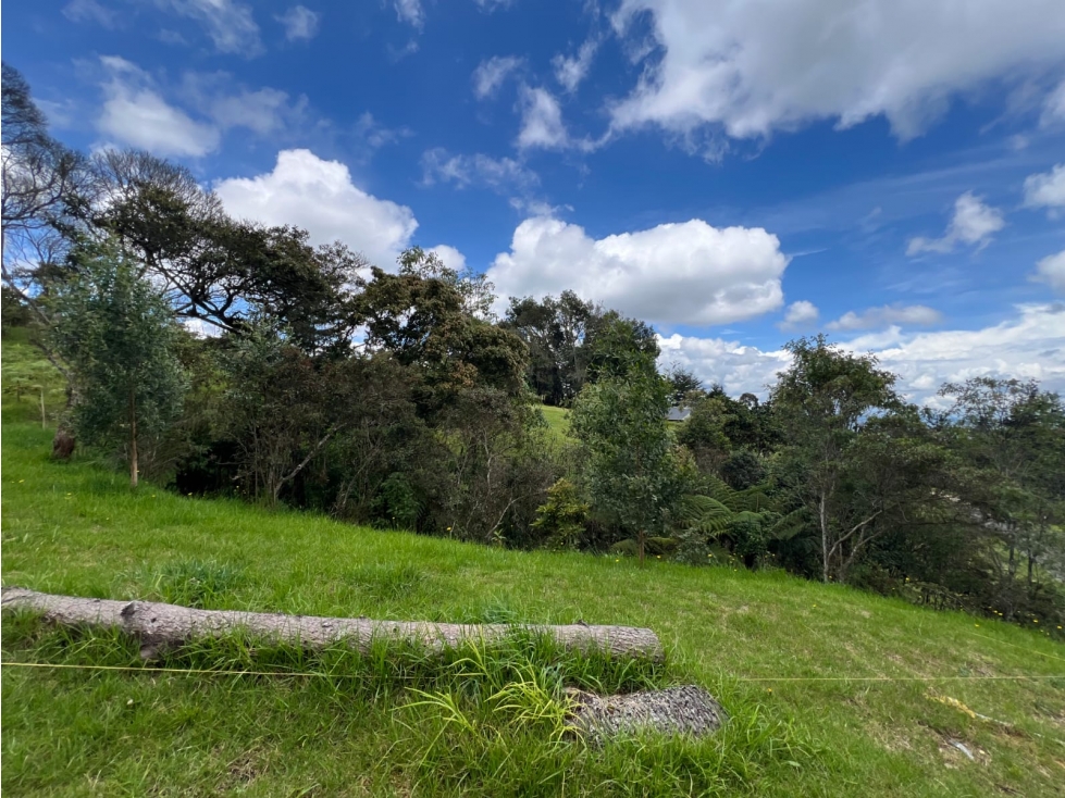 VENTA DE LOTE EN ALTO DE PALMAS - EXCELENTE UBICACIÓN — foto 6