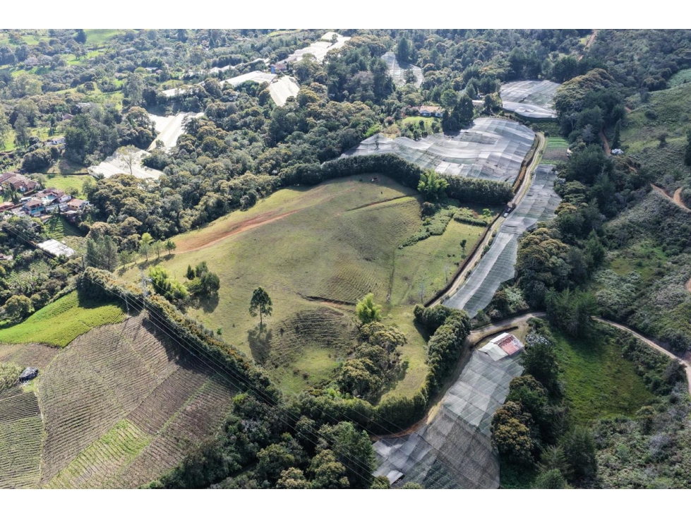 VENTA DE 3 LOTES EN RIONEGRO - SECTOR LA JUANITA