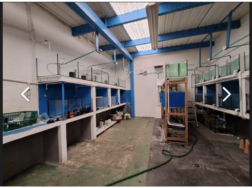 VENTA Y RENTA LOCAL COMERCIAL CERCA AL ÉXITO DEL POBLADO — foto 5