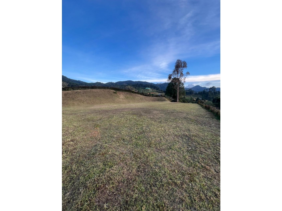 VENTA LOTE EN LA CEJA, VÍA LA CEJA - SAN ANTONIO — foto 6