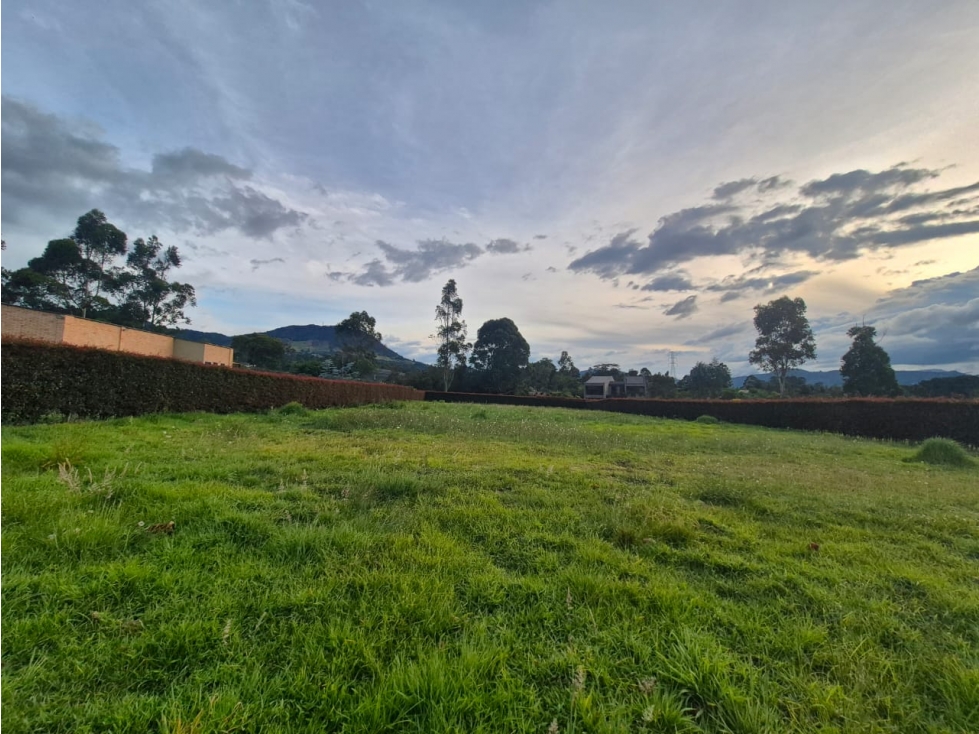 VENTA DE LOTE LA CEJA, VIA LA CEJA - SAN ANTONIO