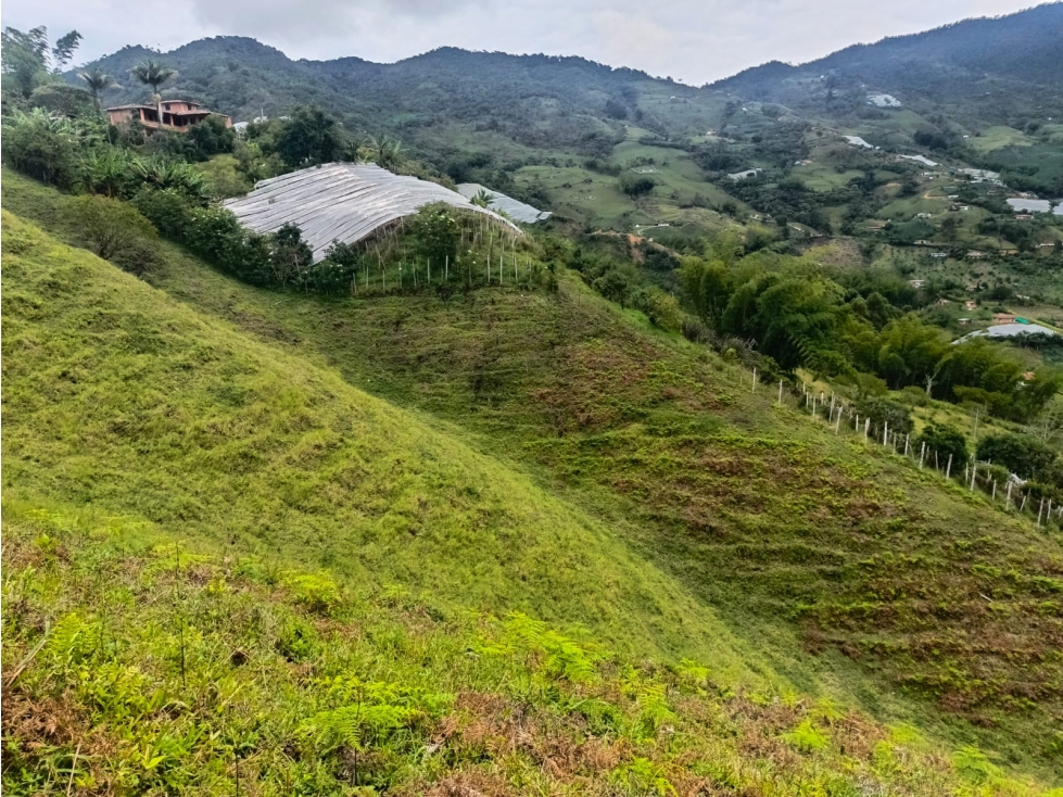VENTA DE LOTE EN EL PEÑOL, PARAJE EL CHILCO - 1