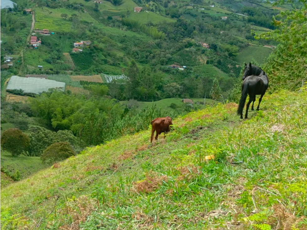 VENTA DE LOTE EN EL PEÑOL, PARAJE EL CHILCO - 2
