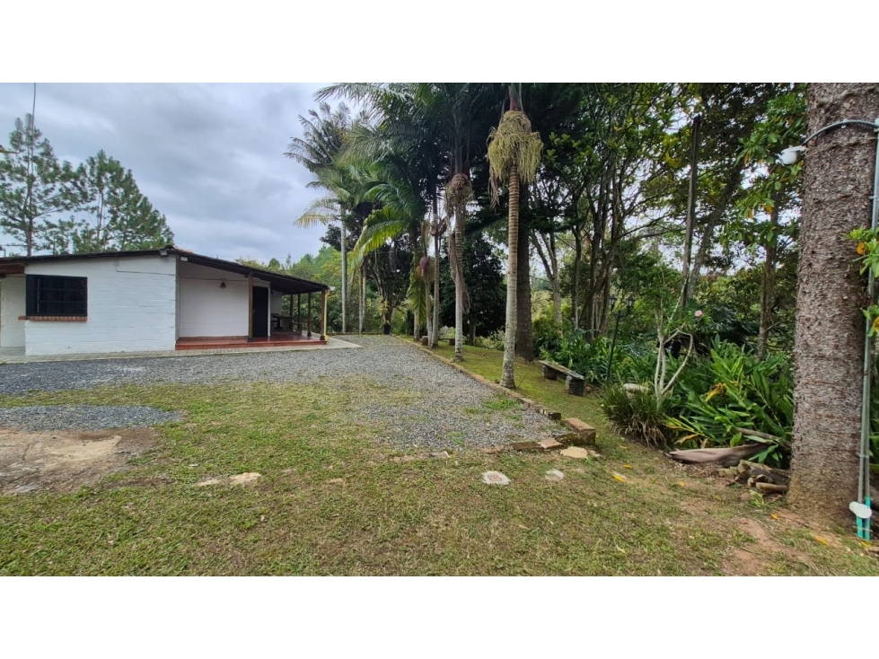 VENTA DE FINCA EXCELENTE UBICACIÓN -GALICIA RIONEGRO — foto 4