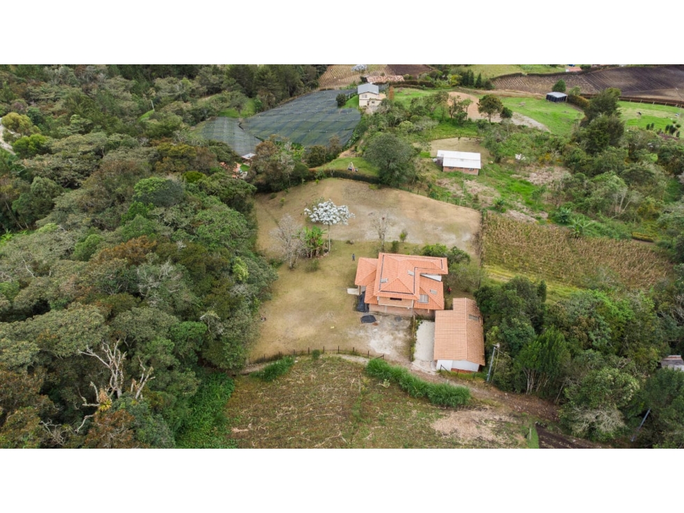 VENTA FINCA EN LA VEREDA EL CERRO - CARMEN DE VIBORAL — foto 5