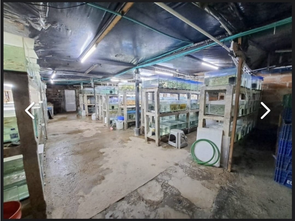 VENTA Y RENTA LOCAL COMERCIAL CERCA AL ÉXITO DEL POBLADO — foto 6