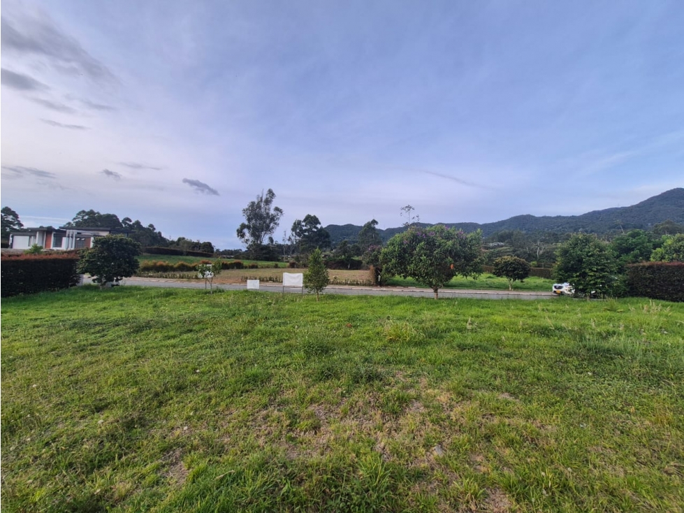 VENTA DE LOTE LA CEJA, VIA LA CEJA - SAN ANTONIO — foto 3