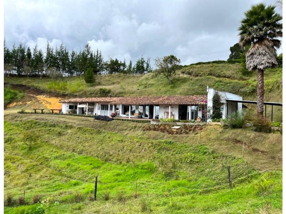 VENTA DE FINCA EN EL RIONEGRO - ANTIOQUIA - COLEGA