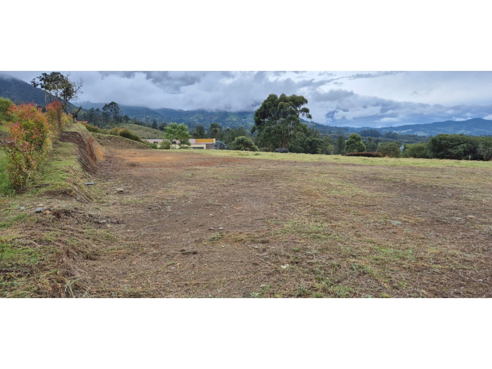 VENTA DE LOTE RESERVA SILVESTRE EN LA CEJA, VEREDA EL YARUMO — foto 5