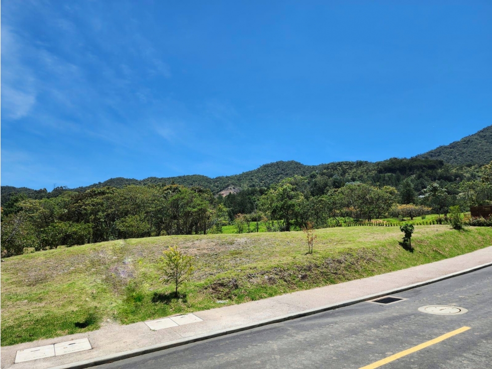 VENTA DE LOTE RESERVA SILVESTRE EN LA CEJA, VEREDA EL YARUMO — foto 4