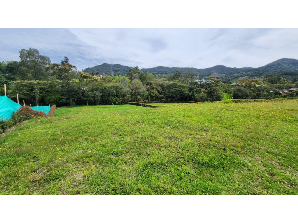 VENTA DE LOTE LA CEJA, VIA LA CEJA-SAN ANTONIO