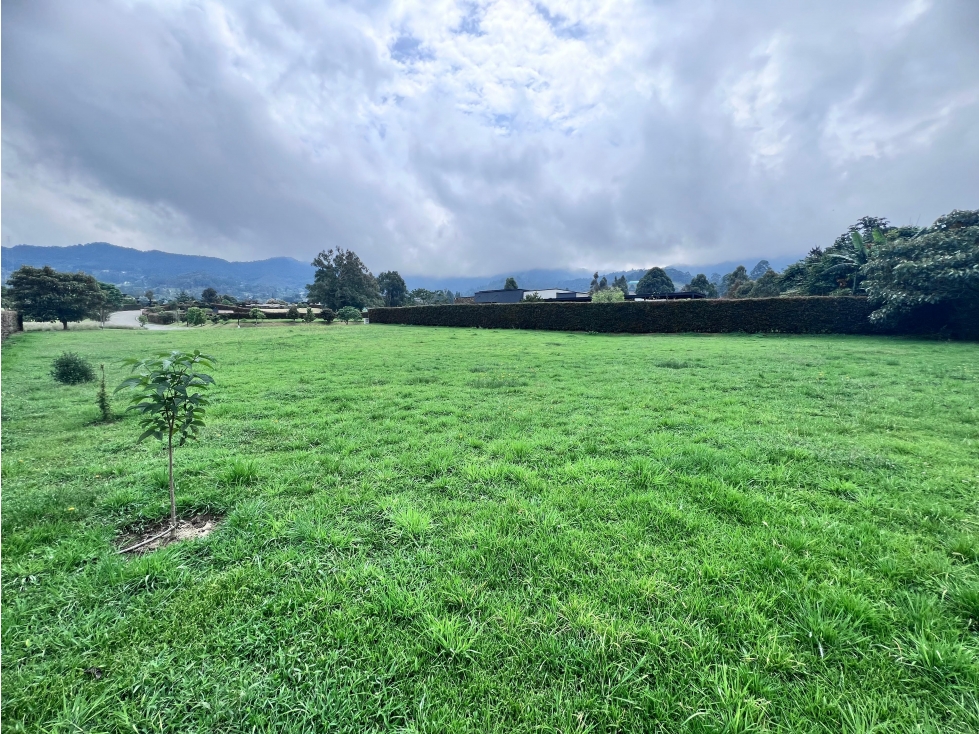 VENTA DE LOTE LA CEJA, VIA LA CEJA-SAN ANTONIO — foto 2